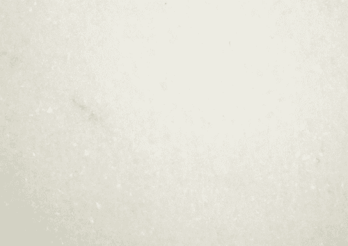 Antarctica White Marble