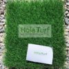 evergreen artificial grass