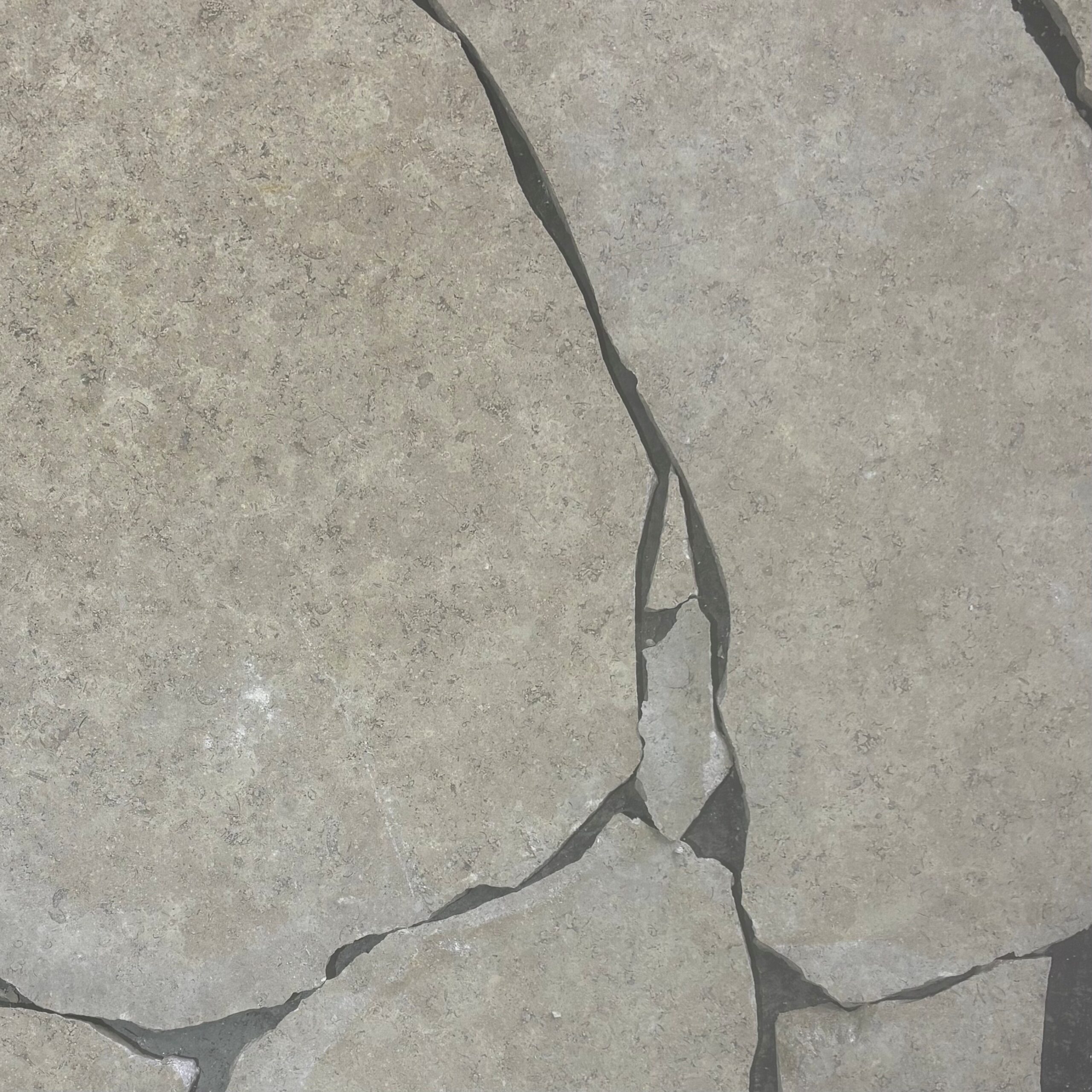 Siena Earth Limestone Crazy Pave