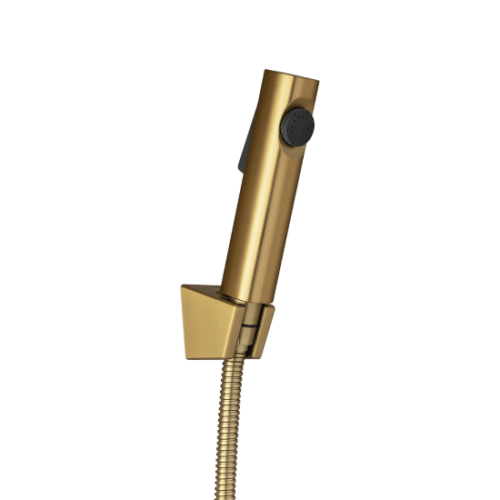 Round Brushed brass ABS Toilet Bidet Spray Kit with Stainless Steel Hose