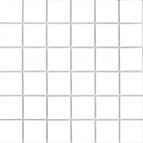 COTTO 2SR1 MSK POOL MOSAICS