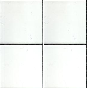 COTTO PALATINO MOSAICS