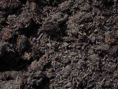 Mushroom Compost