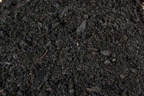 Blended Garden Mix