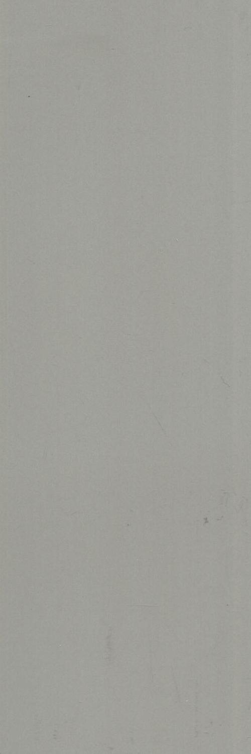 JUNHUA ENTRANCE WALLS