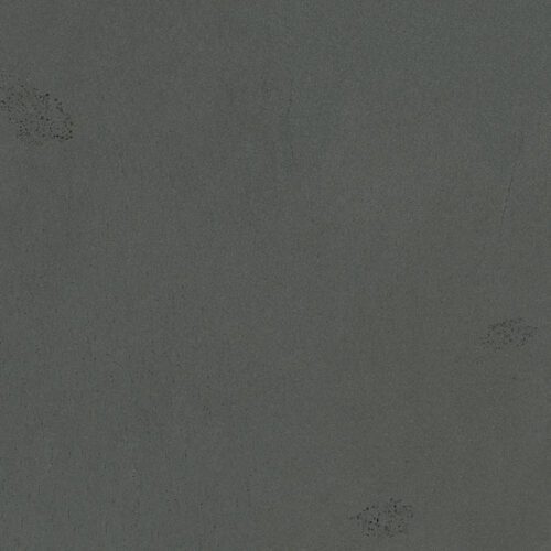 SANFI BLUESTONE GP