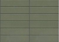 SW MSS GLOSS RECT MOSAICS